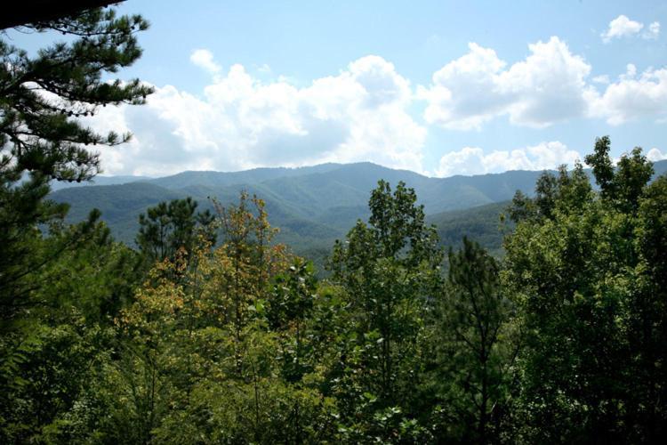 개틀린버그 Majestic View 빌라 외부 사진
